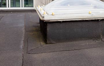disadvantages of South Beach flat roofs